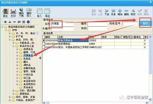 百旺稅控開票系統商品和服務稅收分類編碼操作手冊 計算機系統服務